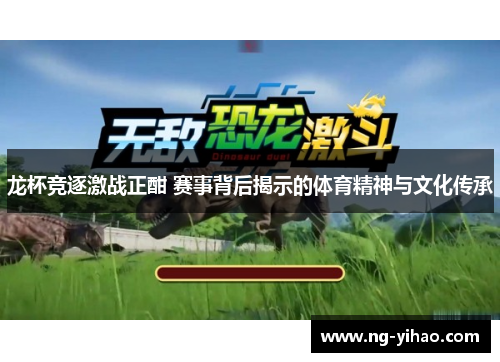龙杯竞逐激战正酣 赛事背后揭示的体育精神与文化传承
