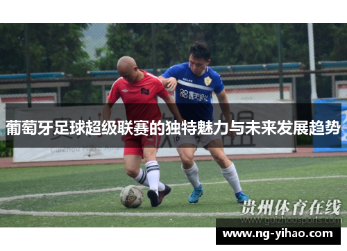 葡萄牙足球超级联赛的独特魅力与未来发展趋势