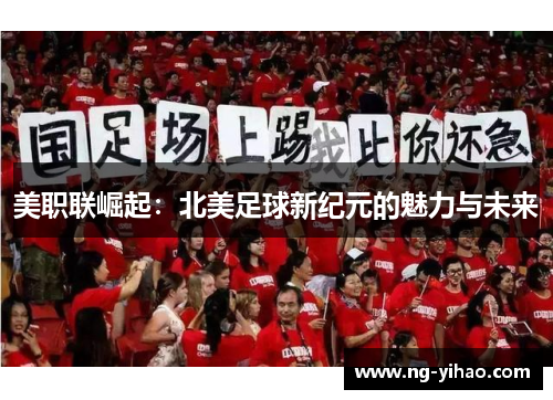 美职联崛起：北美足球新纪元的魅力与未来