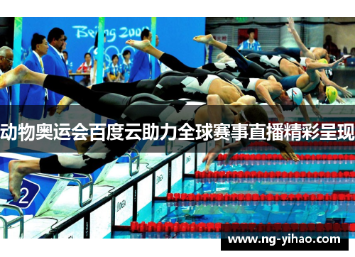 动物奥运会百度云助力全球赛事直播精彩呈现